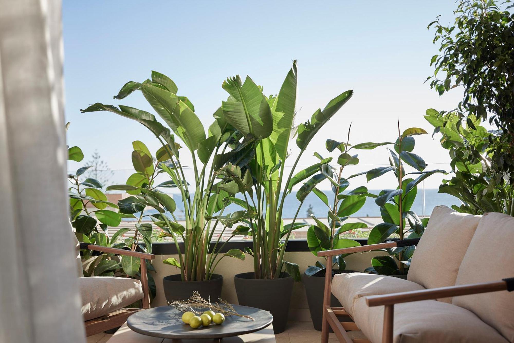 Helea Lifestyle Beach Resort Kallithéa المظهر الخارجي الصورة A balcony garden